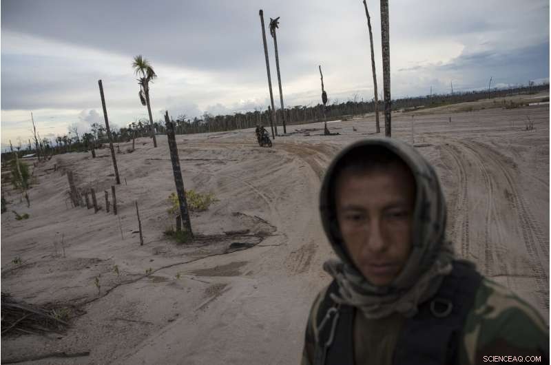 Rebuilding Global Forests One Tree at a Time: Climate Repair Initiatives