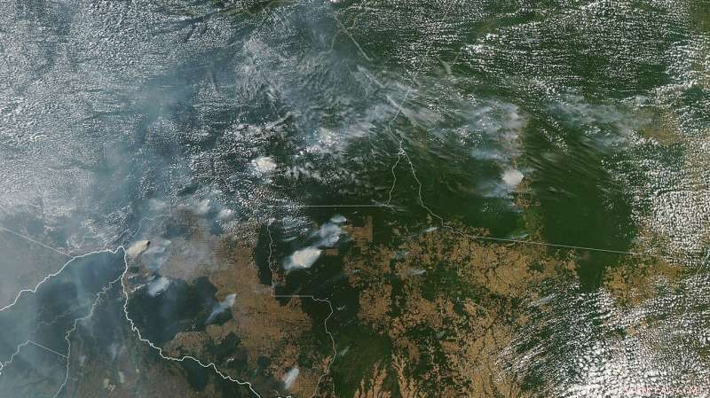 Amazon Rainforest Fires: Key Facts and Current Status