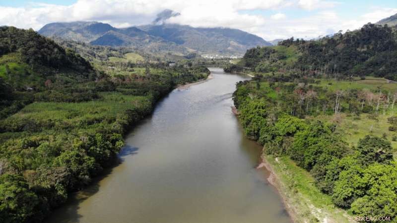 Amazon Rainforest Fires: Key Facts and Current Status