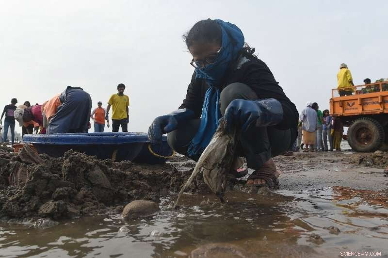 India’s Plastic Crisis: 5 Key Facts on Waste & Recycling