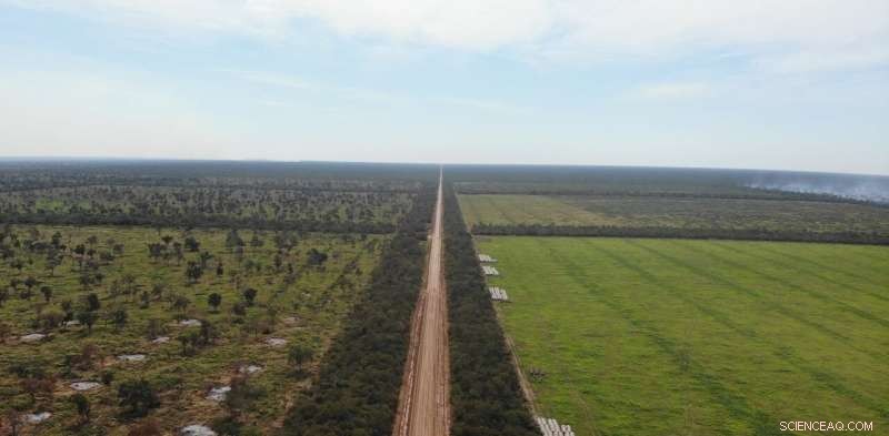 Eco-Friendly Charcoal Subsidies Fuel the Decline of South America’s Second Largest Forest