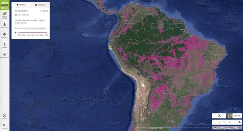 Eco-Friendly Charcoal Subsidies Fuel the Decline of South America’s Second Largest Forest