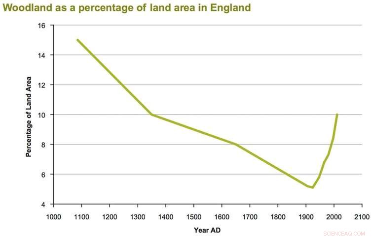 Rewild 25% of the UK: A Strategy to Reduce Climate Impact, Boost Biodiversity, and Foster a Nature‑Closer Lifestyle