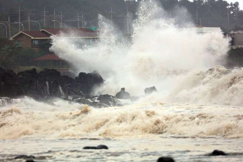 South Korea Suffers Nine Fatalities as Typhoon Mitag Causes Devastating Floods and Landslides