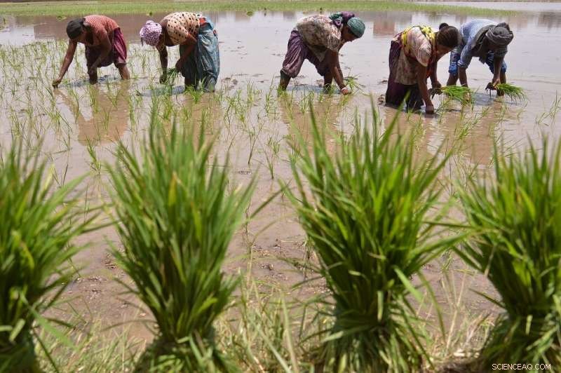 Unsustainable Groundwater Pumping Threatens Global River Systems