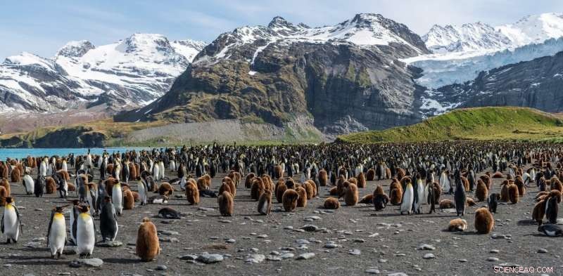 Climate Change Rises Value of Polar Seas—Why Opportunists Must Be Cautious