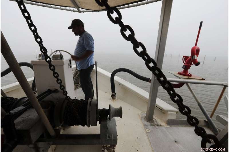 Louisiana Aims to Combat Coastal Erosion by Replicating Natural Processes