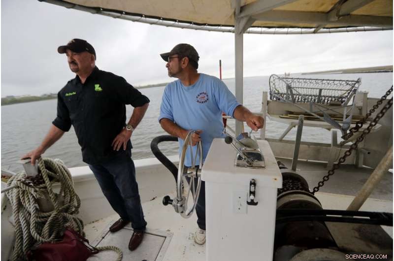 Louisiana Aims to Combat Coastal Erosion by Replicating Natural Processes