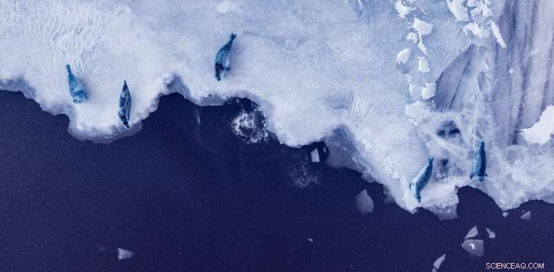 Exceeding 2°C Could Trigger 20‑Metre Sea Rise from Antarctica’s Ice Sheets
