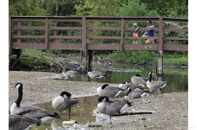 Intensifying Flash Drought Threatens 14 Southern U.S. States