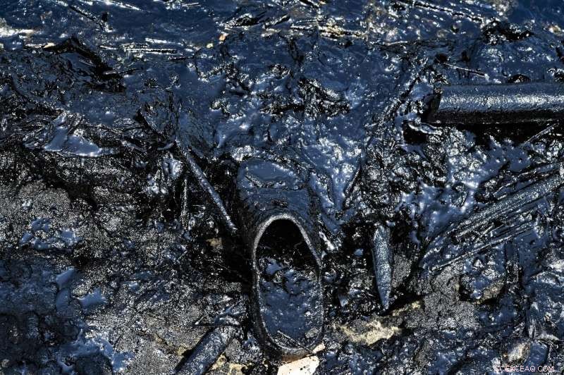 Lake Maracaibo Faces Ongoing Black Tide Pollution from Crude Oil Spills