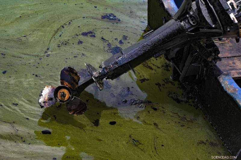 Lake Maracaibo Faces Ongoing Black Tide Pollution from Crude Oil Spills