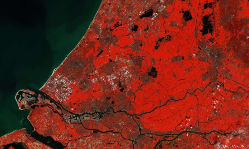 Copernicus Sentinel‑2 Satellite View of the Netherlands