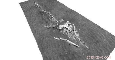 Advanced 3‑D Imaging Technology Reveals Detailed Maps of Scottish Cold‑Water Coral Reefs