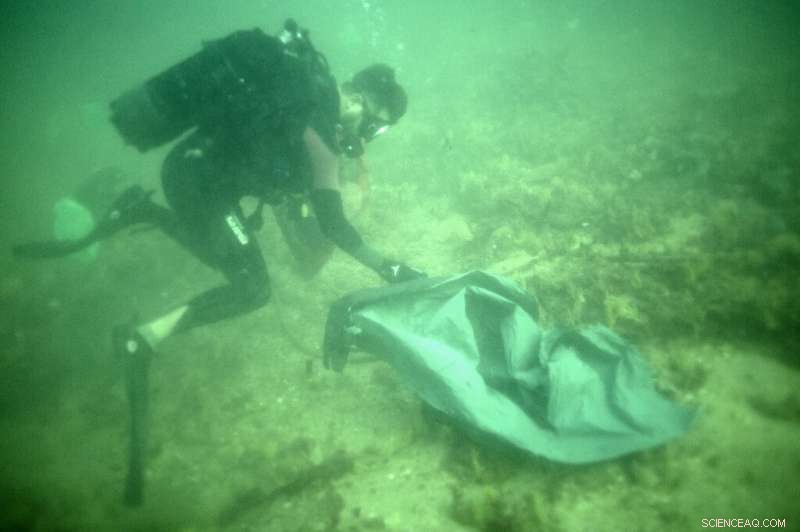 Amateur Divers Clean Up Senegal’s Ocean Plastic Crisis