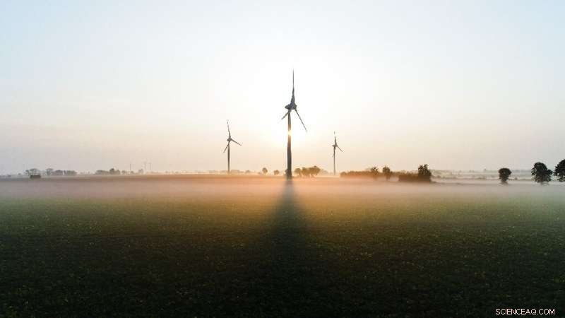 Commonwealth Launches Regeneration Projects to Combat Climate Change