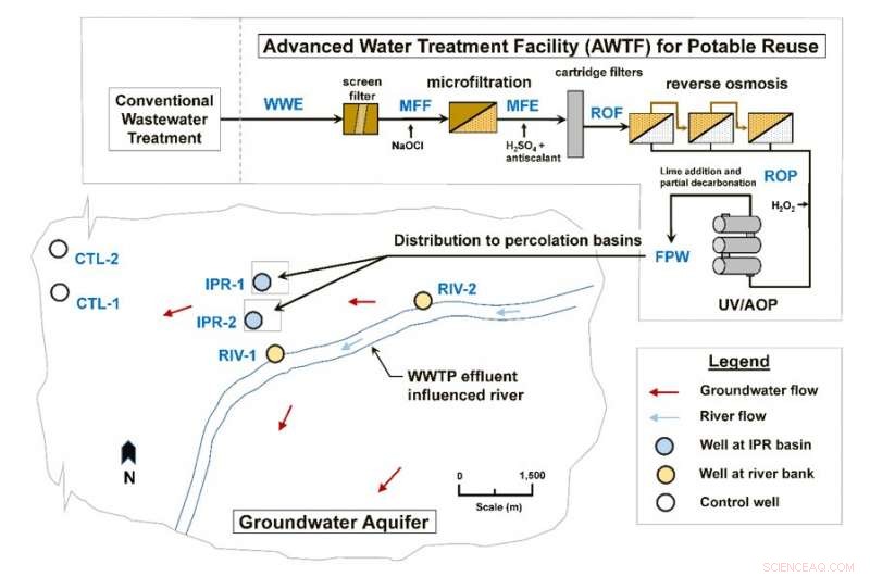 Study Reveals Widespread Antibiotic-Resistant Genes in Groundwater, Raising Public Health Concerns