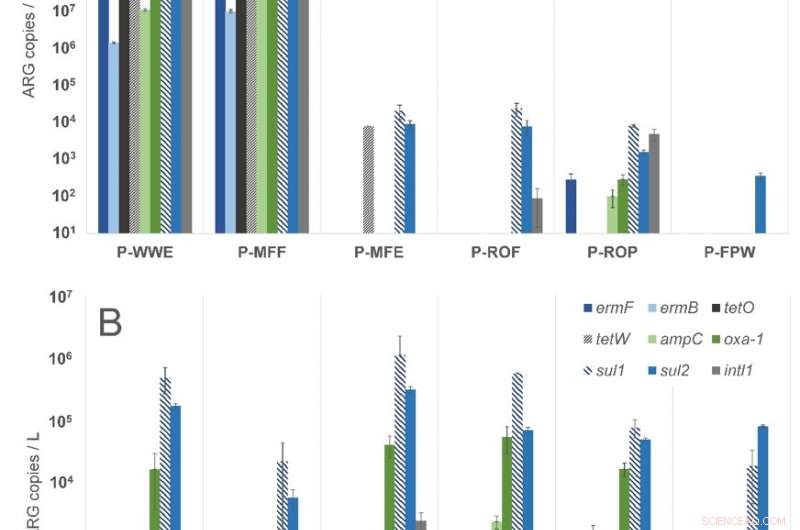 Study Reveals Widespread Antibiotic-Resistant Genes in Groundwater, Raising Public Health Concerns