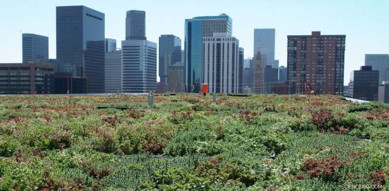 Why Green Roofs Are Essential for Urban Sustainability—Why Aren’t All Buildings Adopting Them?
