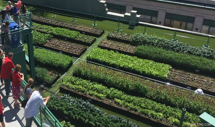 Why Green Roofs Are Essential for Urban Sustainability—Why Aren’t All Buildings Adopting Them?