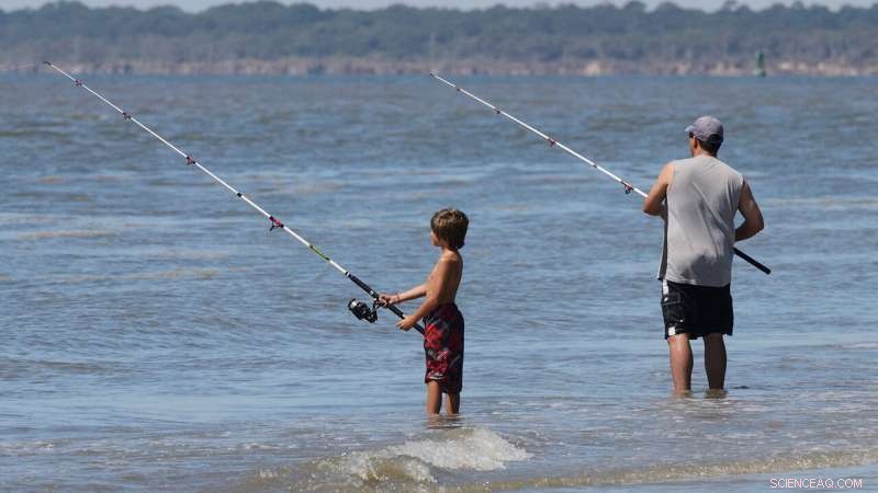 Climate Change Threatens Shoreline Recreational Fishing, New Study Reveals