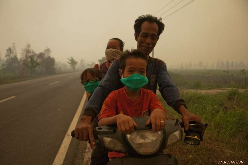 Indonesia s Massive Fires and Toxic Haze Pose Long-Term Health Risks