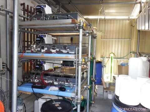 BioAlchemy: Innovative On-Spot Wastewater Treatment Using Microbial Fuel Cells