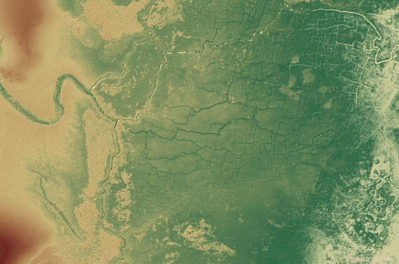 Ancient Maya Canals and Fields Revealed: Early, Extensive Impact on Tropical Forests