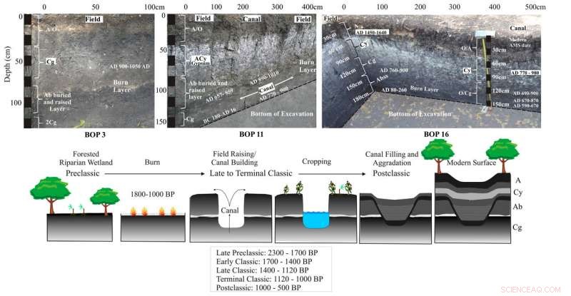 Ancient Maya Canals and Fields Revealed: Early, Extensive Impact on Tropical Forests