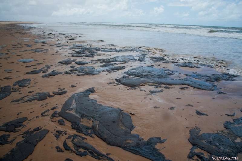 Unidentified Oil Spills Darken 130+ Brazilian Beaches