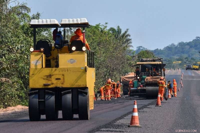 Brazilian Highways Drive Amazon Development—and Environmental Loss