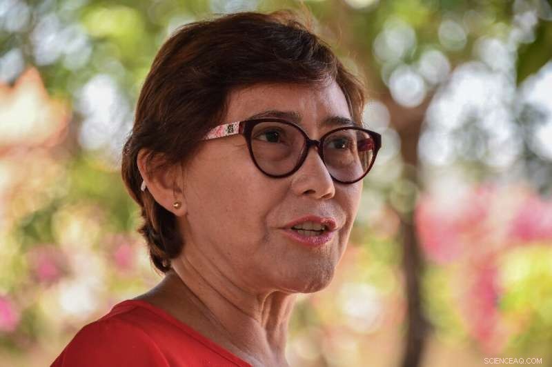 Brazilian Highways Drive Amazon Development—and Environmental Loss