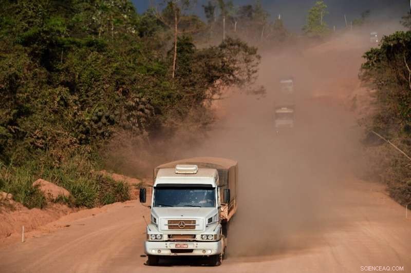 Brazilian Highways Drive Amazon Development—and Environmental Loss