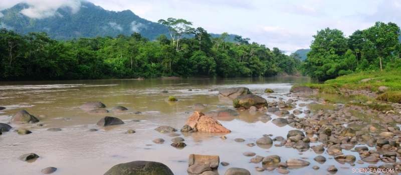 Energy Development Outpaces Conservation: Closing Policy Gaps in Amazon Protected Areas