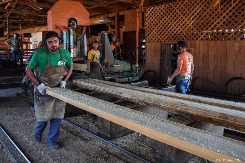 Life in Brazil s Amazon: Stories of the People Who Call the World s Largest Rainforest Home