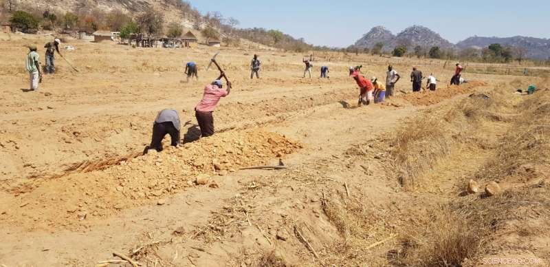 Revolutionizing African Agriculture: Affordable Soil‑Enhancement Technology Boosts Yields in Poor Fields