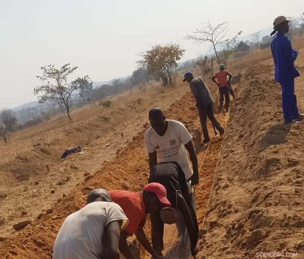 Revolutionizing African Agriculture: Affordable Soil‑Enhancement Technology Boosts Yields in Poor Fields