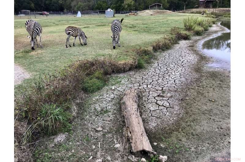 Flash Drought Hits Southern Farmers: Water Scarcity Threatens Agriculture