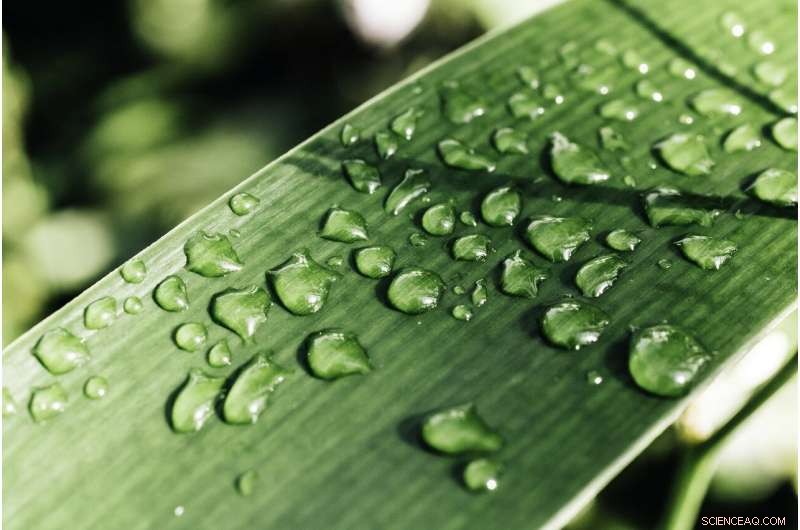 Enhancing Precipitation Forecasts with GPS-Based Moisture Measurements