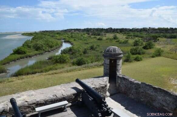 Florida Mangroves Highlight Climate’s Impact on Coastal Ecosystems