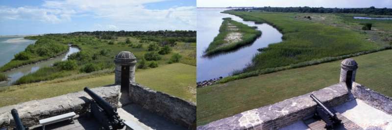 Florida Mangroves Highlight Climate’s Impact on Coastal Ecosystems