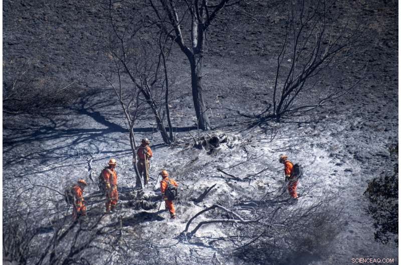 Authorities Confirm Three Fatalities in Southern California Wildfires