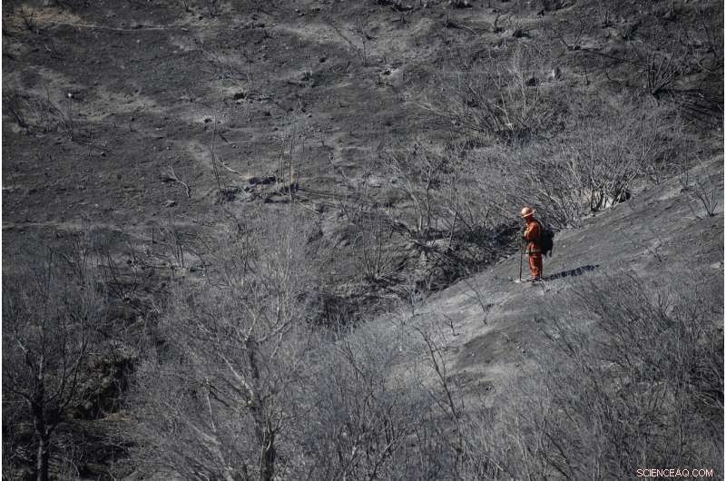 Authorities Confirm Three Fatalities in Southern California Wildfires