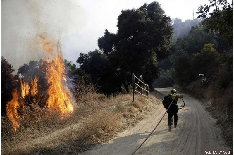Authorities Confirm Three Fatalities in Southern California Wildfires