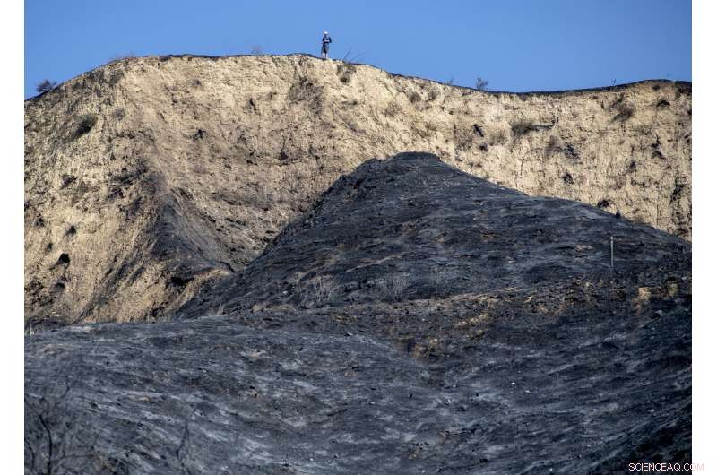 Authorities Confirm Three Fatalities in Southern California Wildfires