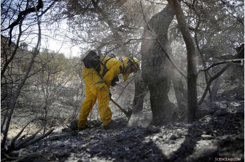 Authorities Confirm Three Fatalities in Southern California Wildfires