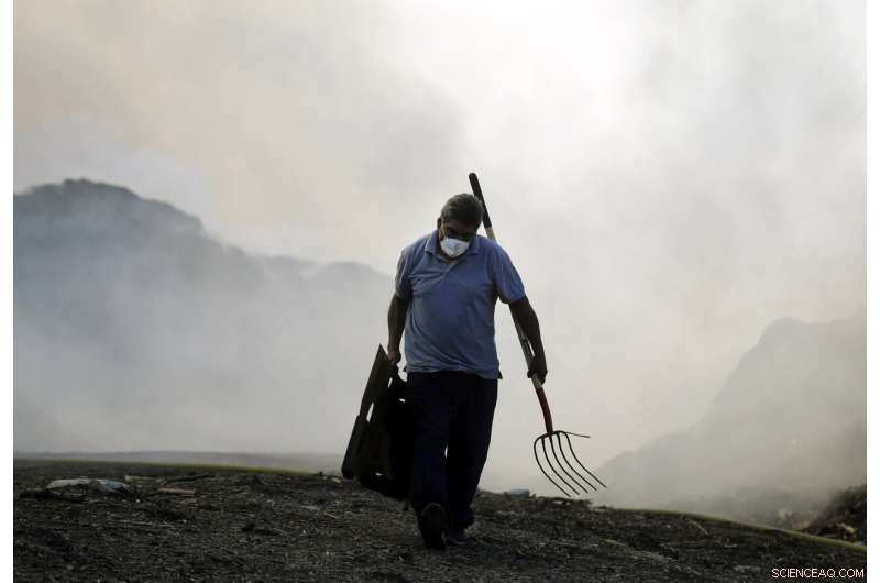 Authorities Confirm Three Fatalities in Southern California Wildfires