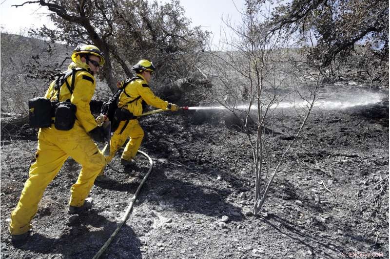 Authorities Confirm Three Fatalities in Southern California Wildfires