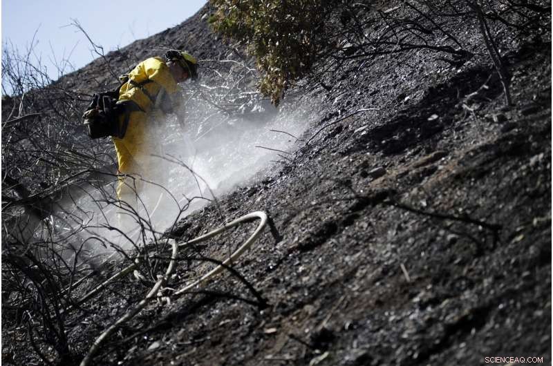 Authorities Confirm Three Fatalities in Southern California Wildfires