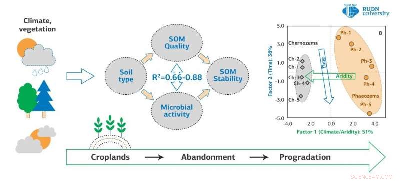 Unveiling Soil Recovery on Abandoned Arable Lands: RUDN Scientists  Findings